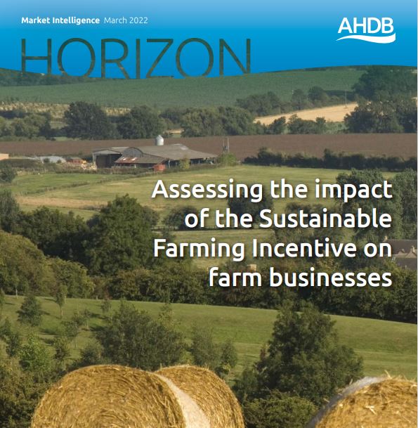 Front page of Horizon report 2022